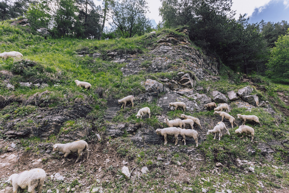 Река маруха карачаево черкессия что означает название. 6N0uoavX5sCwk9WU1 UIdjPdfw 960. Река маруха карачаево черкессия что означает название фото. Река маруха карачаево черкессия что означает название-6N0uoavX5sCwk9WU1 UIdjPdfw 960. картинка Река маруха карачаево черкессия что означает название. картинка 6N0uoavX5sCwk9WU1 UIdjPdfw 960. Река Маруха протекает по территории туристического района Архыза в Карачаево-Черкесской республике. Река маруха карачаево черкессия что означает название. 6N0uoavX5sCwk9WU1 UIdjPdfw 960. Река маруха карачаево черкессия что означает название фото. Река маруха карачаево черкессия что означает название-6N0uoavX5sCwk9WU1 UIdjPdfw 960. картинка Река маруха карачаево черкессия что означает название. картинка 6N0uoavX5sCwk9WU1 UIdjPdfw 960. Река Маруха протекает по территории туристического района Архыза в Карачаево-Черкесской республике.