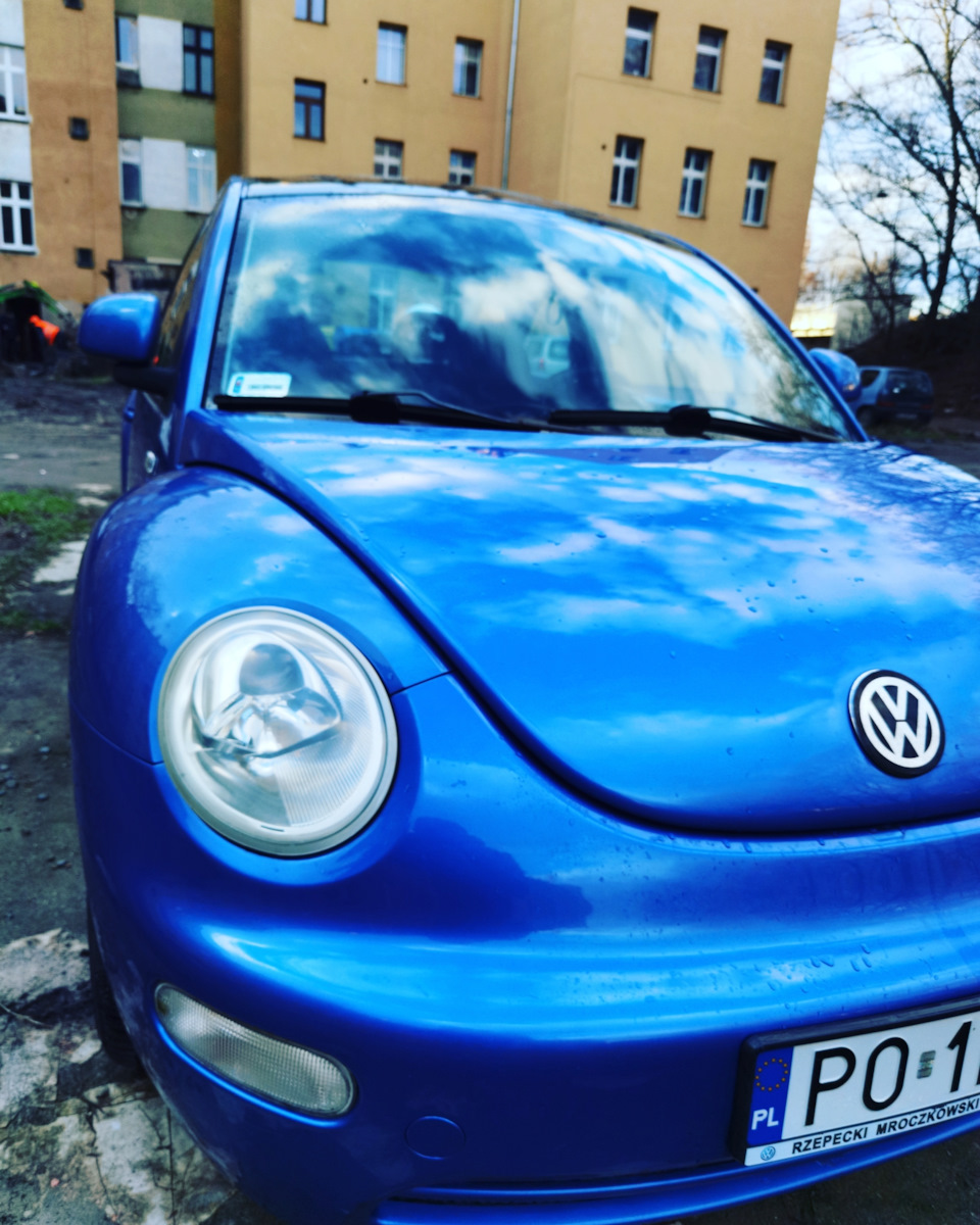 Нужен совет — Volkswagen New Beetle, 2 л, 1999 года | визит на сервис |  DRIVE2