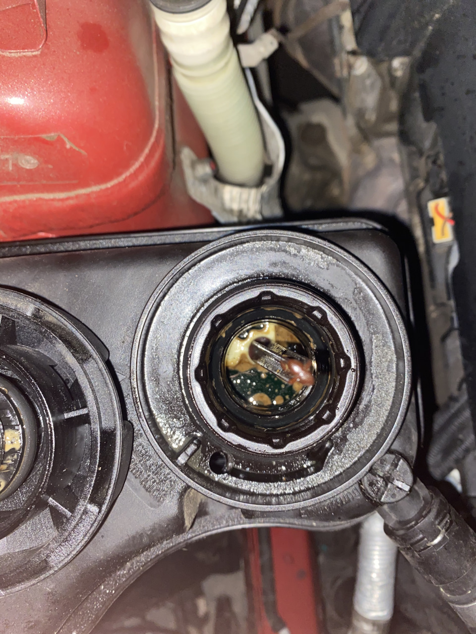 Масляная пленка в антифризе и летние тапки — BMW 1 series Coupe (E82 ...