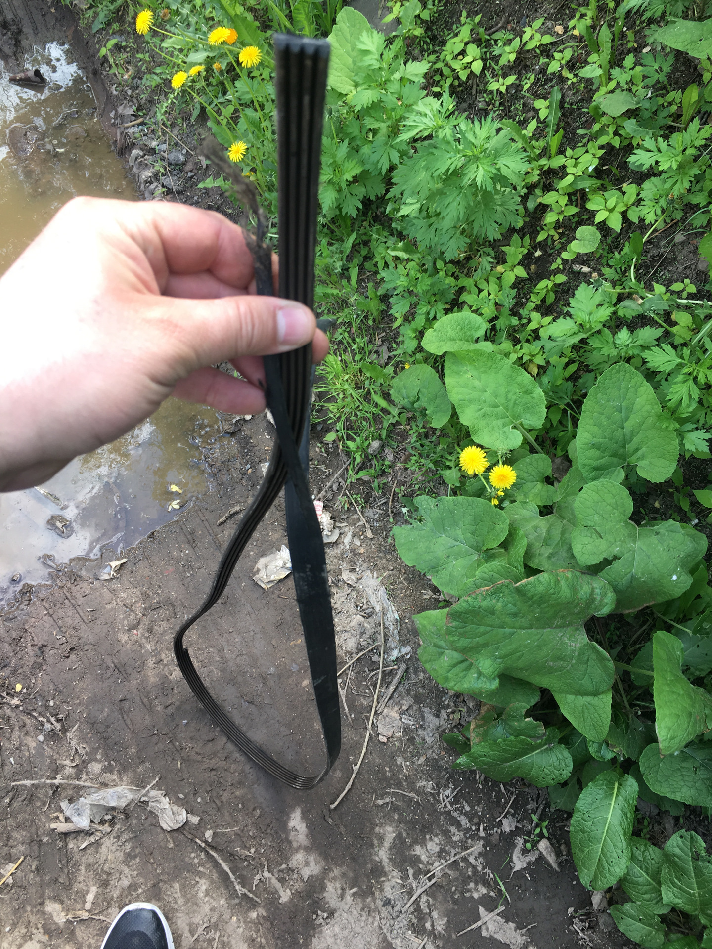 Неожиданная замена ремня вспомогательных агрегатов — Peugeot 4007, 2,4 ...