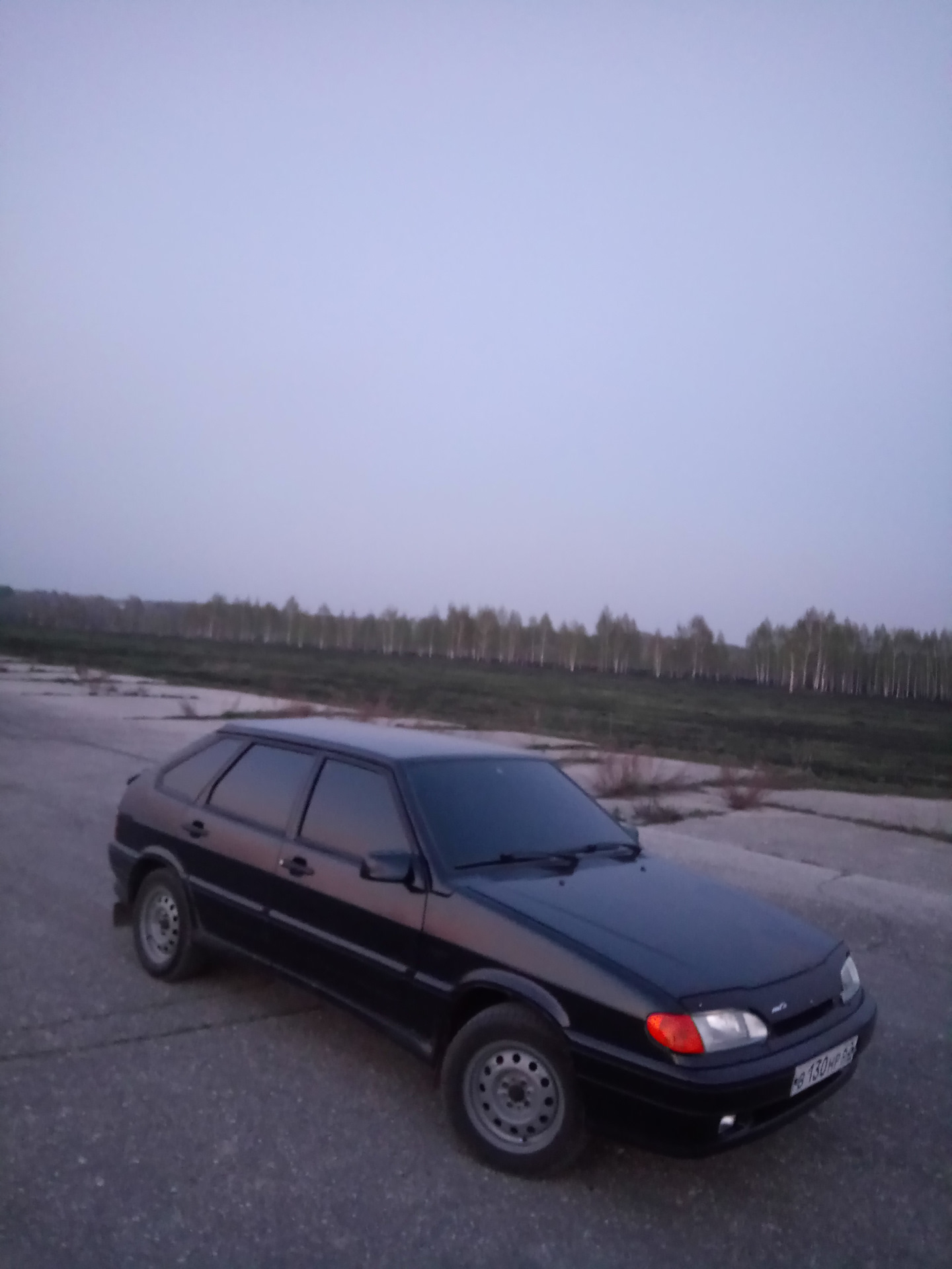 4) Болотные штампы (по ГОСТу) — Lada 2114, 1,6 л, 2007 года | колёсные ...