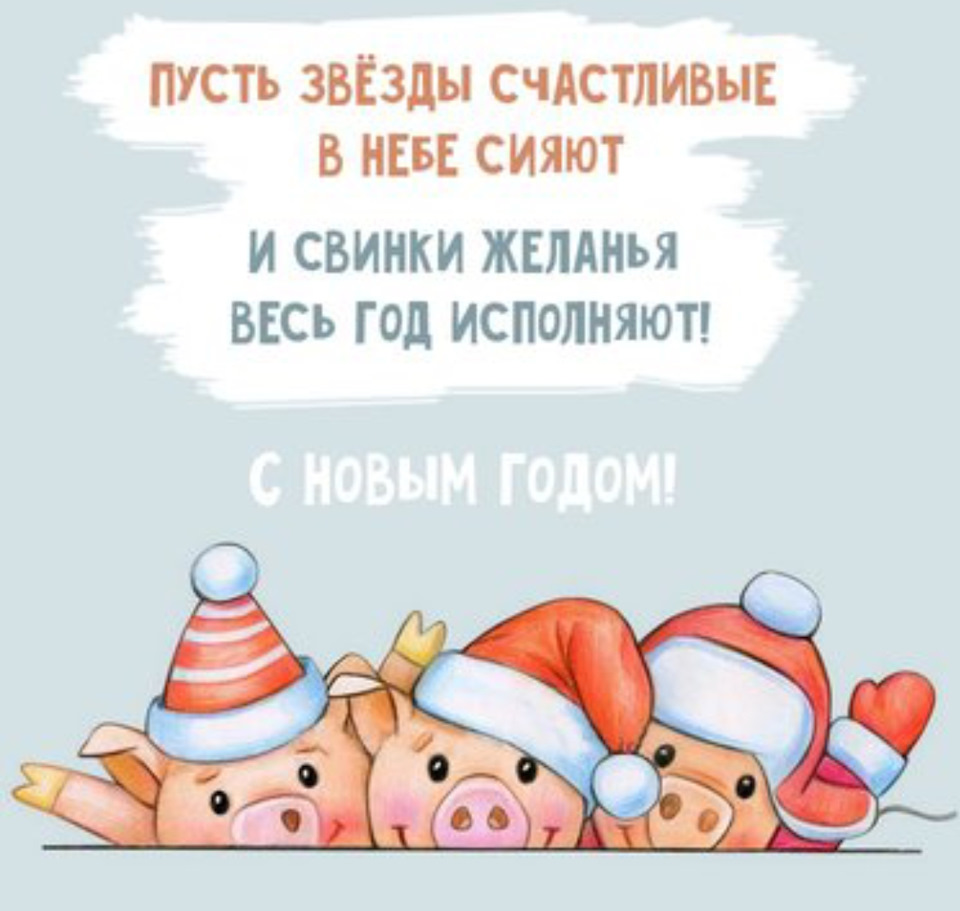 Смешные картинки с наступающим новым годом свиньи