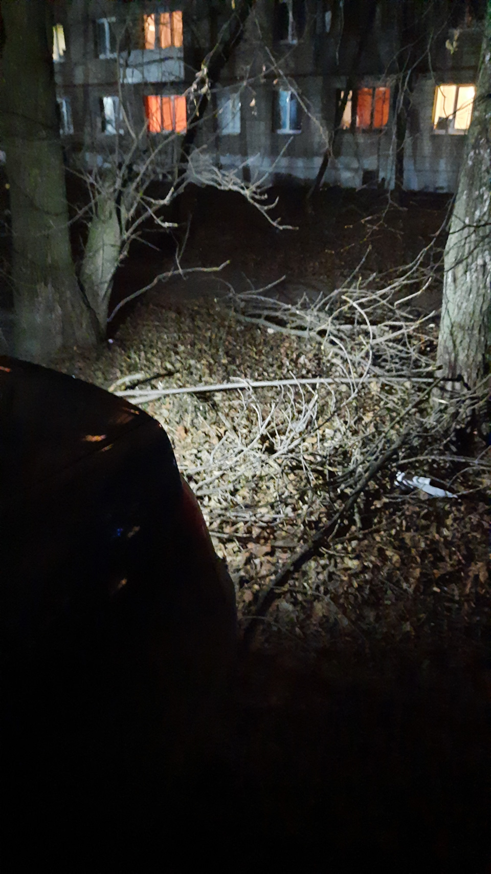 Фото в бортжурнале Volkswagen Passat B6