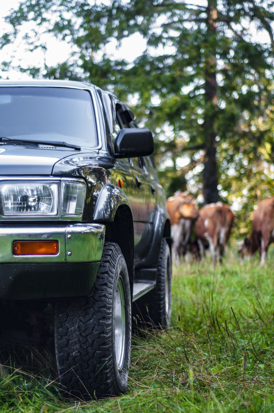 Веселый отдых на все бабки — Toyota 4Runner (II), 3 л, 1994 года | поломка  | DRIVE2