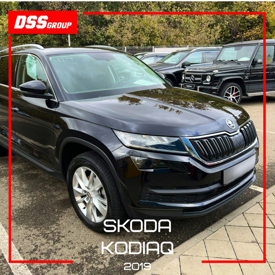 Skoda Kodiaq 2019 — DSS Group автоподбор на DRIVE2