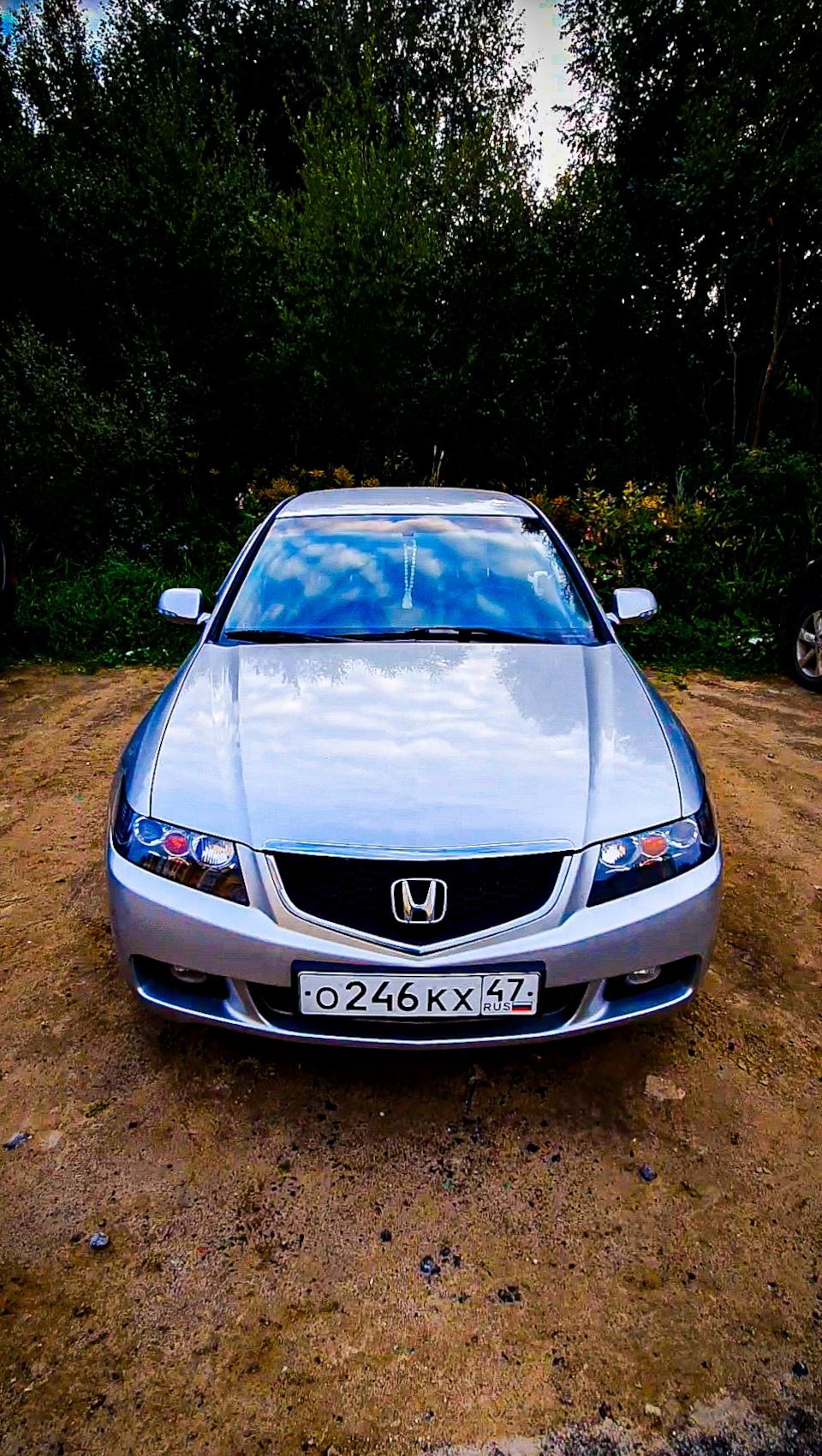 Led во всю машину! — Honda Accord (7G), 2 л, 2003 года | аксессуары | DRIVE2