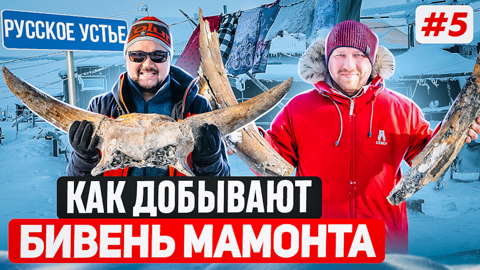 Галопом по Арктике #5. Как добывают бивень мамонта в Якутии на ...