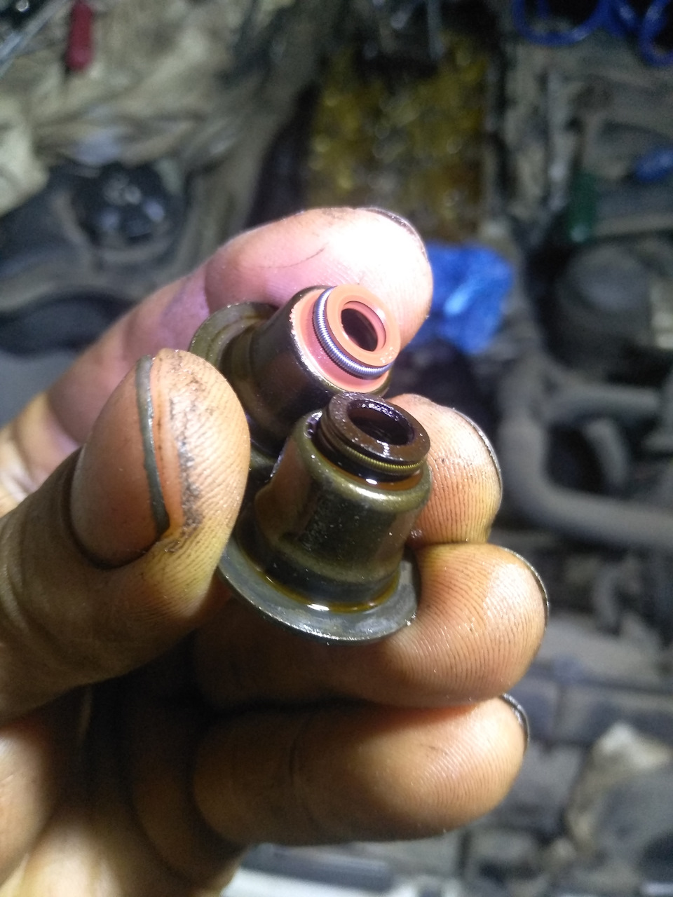 Замена маслосъемных колпачков BMW 320 e90 N46B20 — DRIVE2