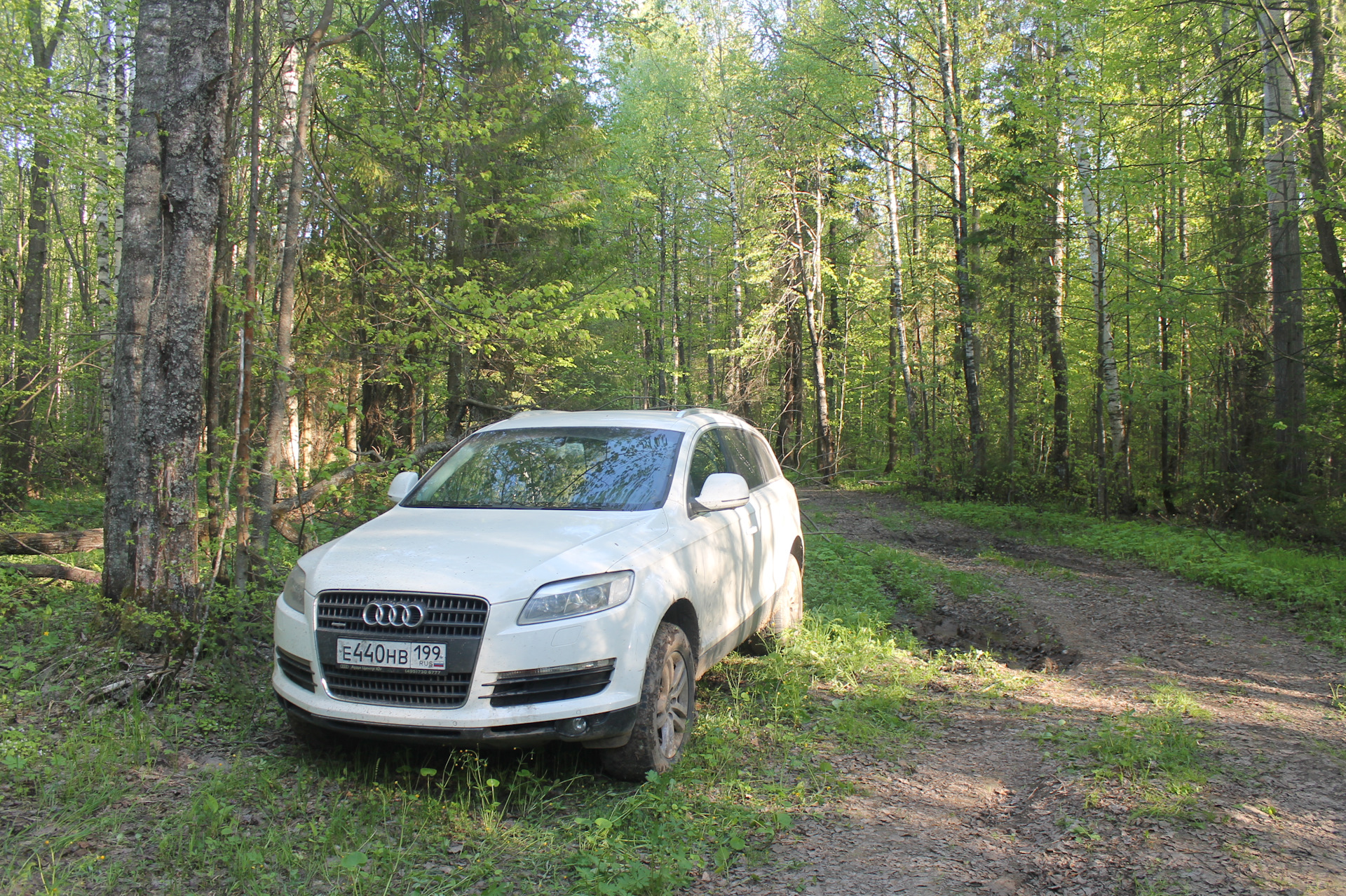 Ауди на бездорожье. Ауди q7 для бездорожья. Ауди q7 тест драйв. Audi 4m q7 бездорожье. Ауди ку 7 для бездорожья.