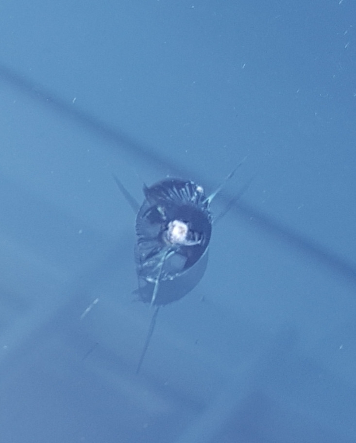 Противный с усиками — Lada Vesta SW (1G)