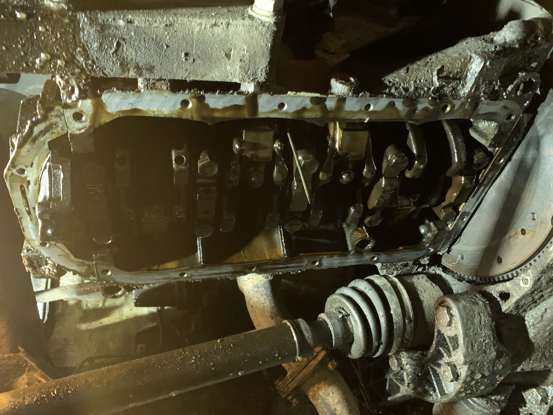 Нежданчик или Замена прокладки масляного насоса — Lada Калина седан, 1 ...