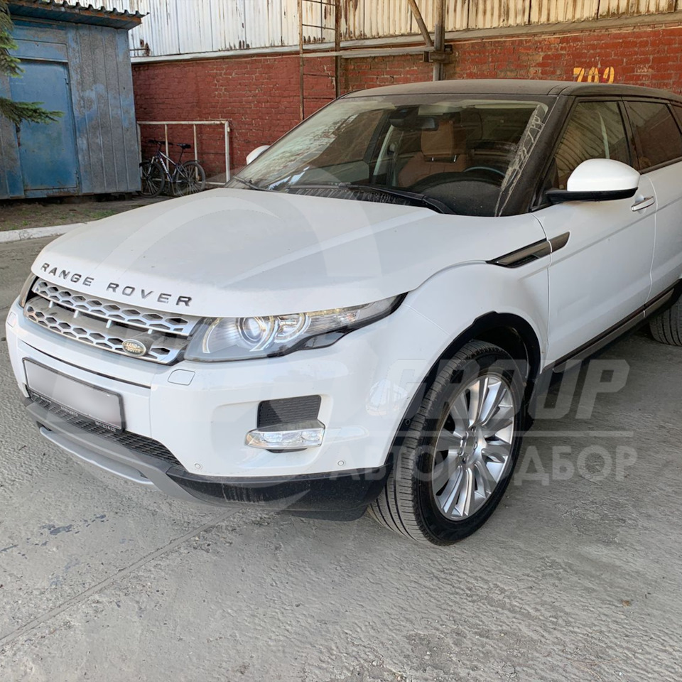 Land Rover Range Rover Evoque 2014 — DSS Group автоподбор на DRIVE2