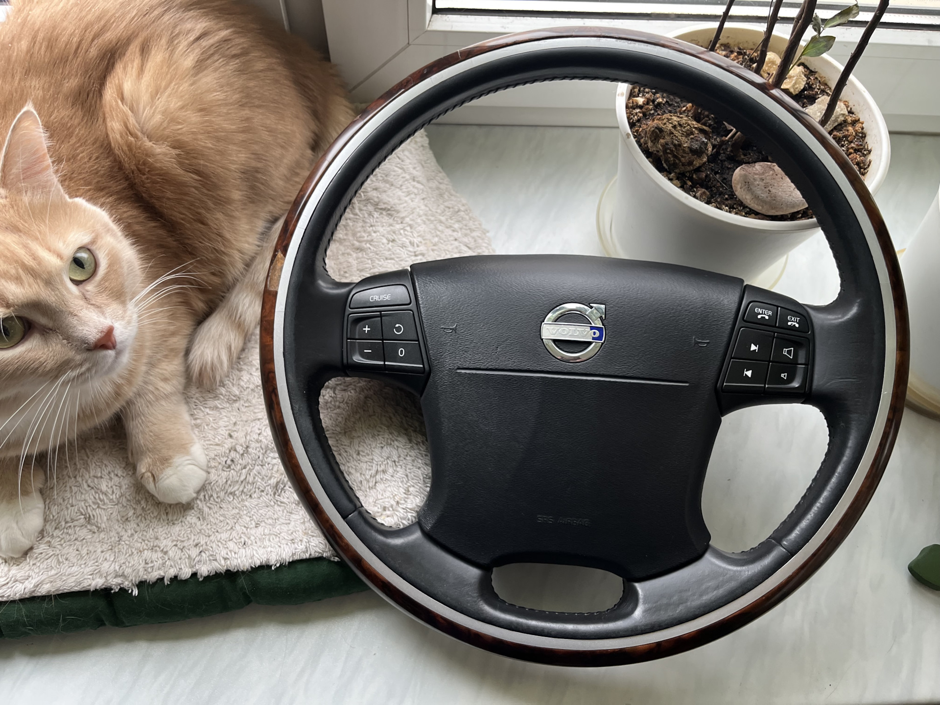 рулю по жизни