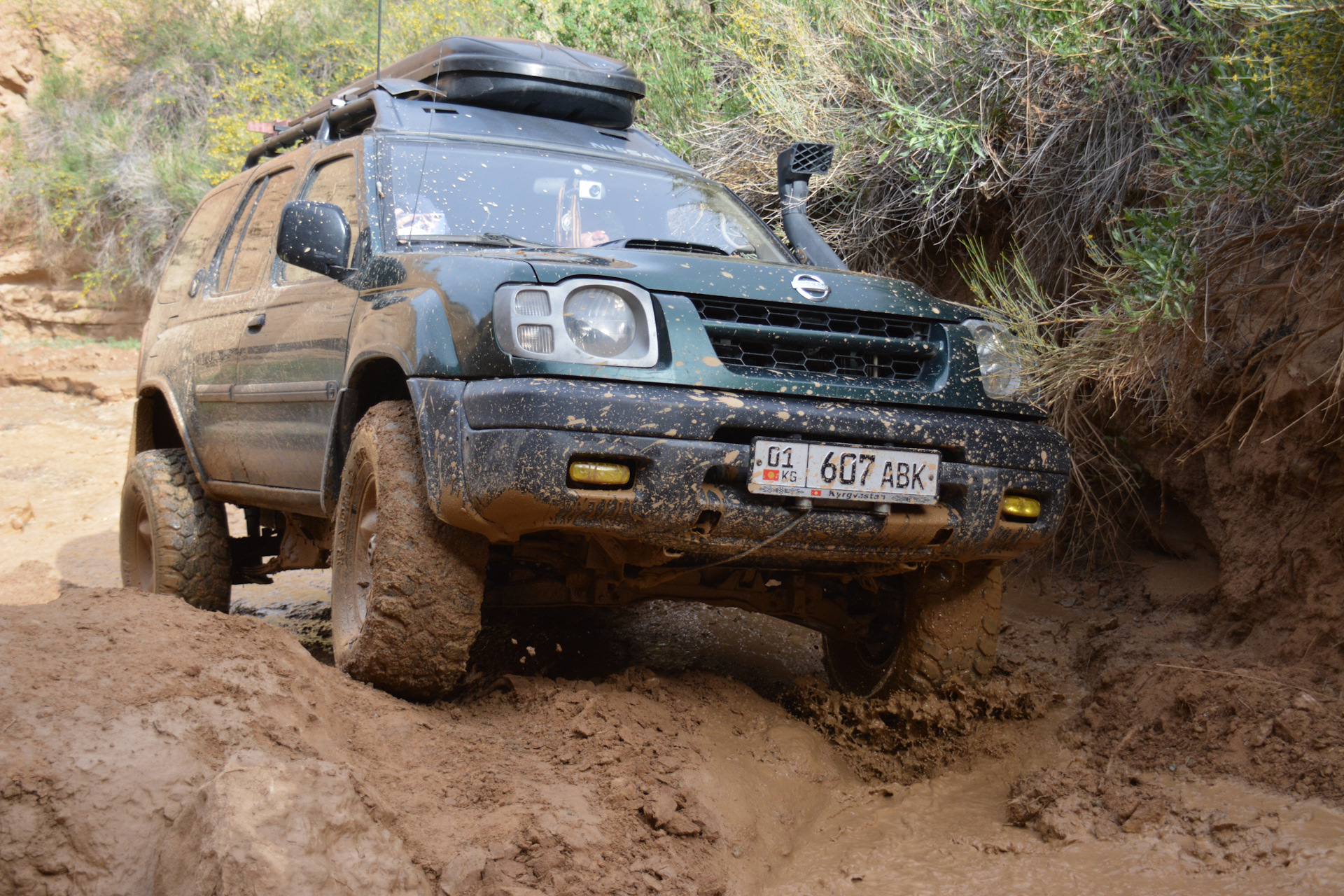 Nissan Xterra 2019