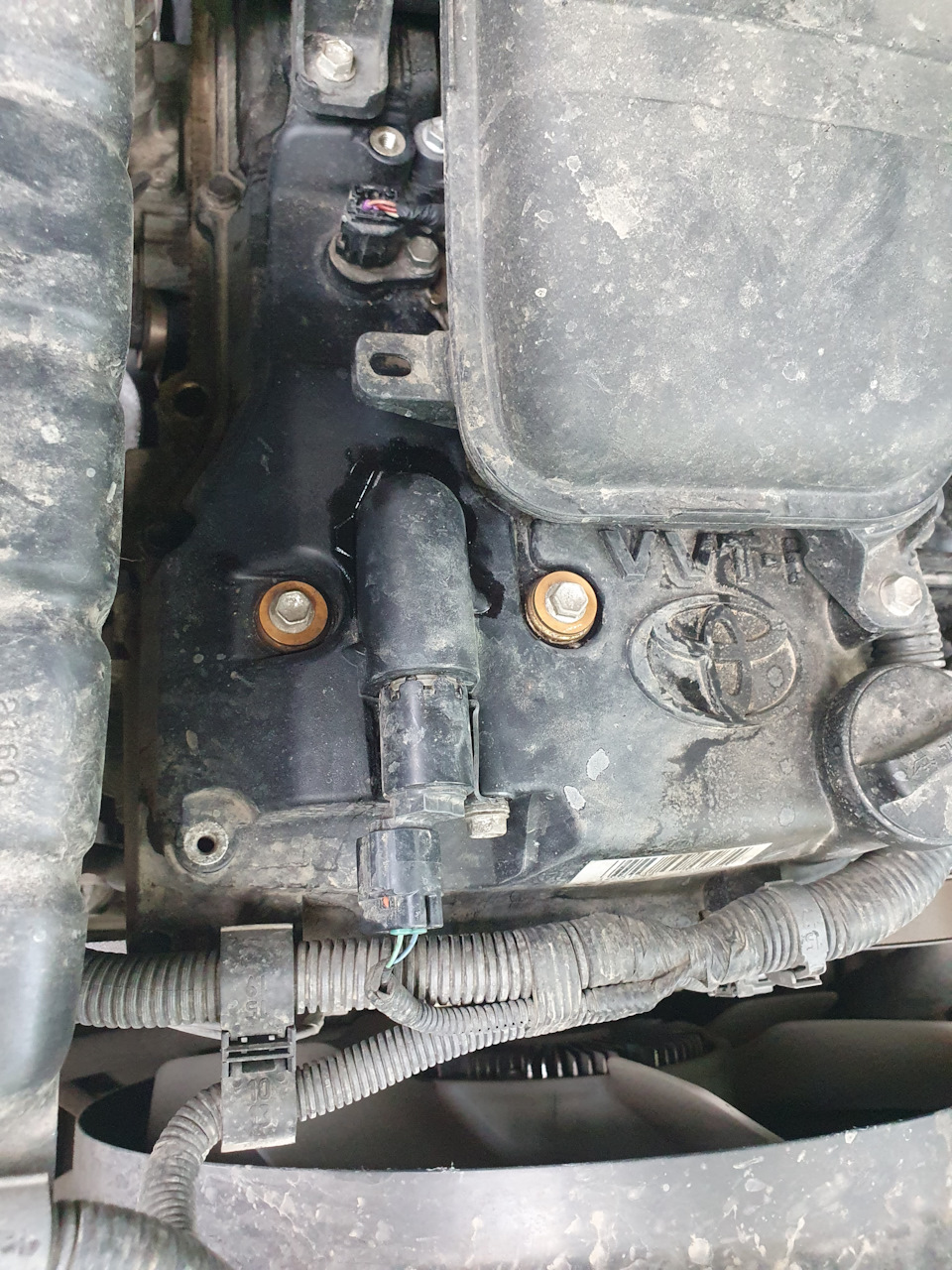 Потеет двигатель — Toyota Land Cruiser Prado 150-series, 2,7 л, 2021 ...