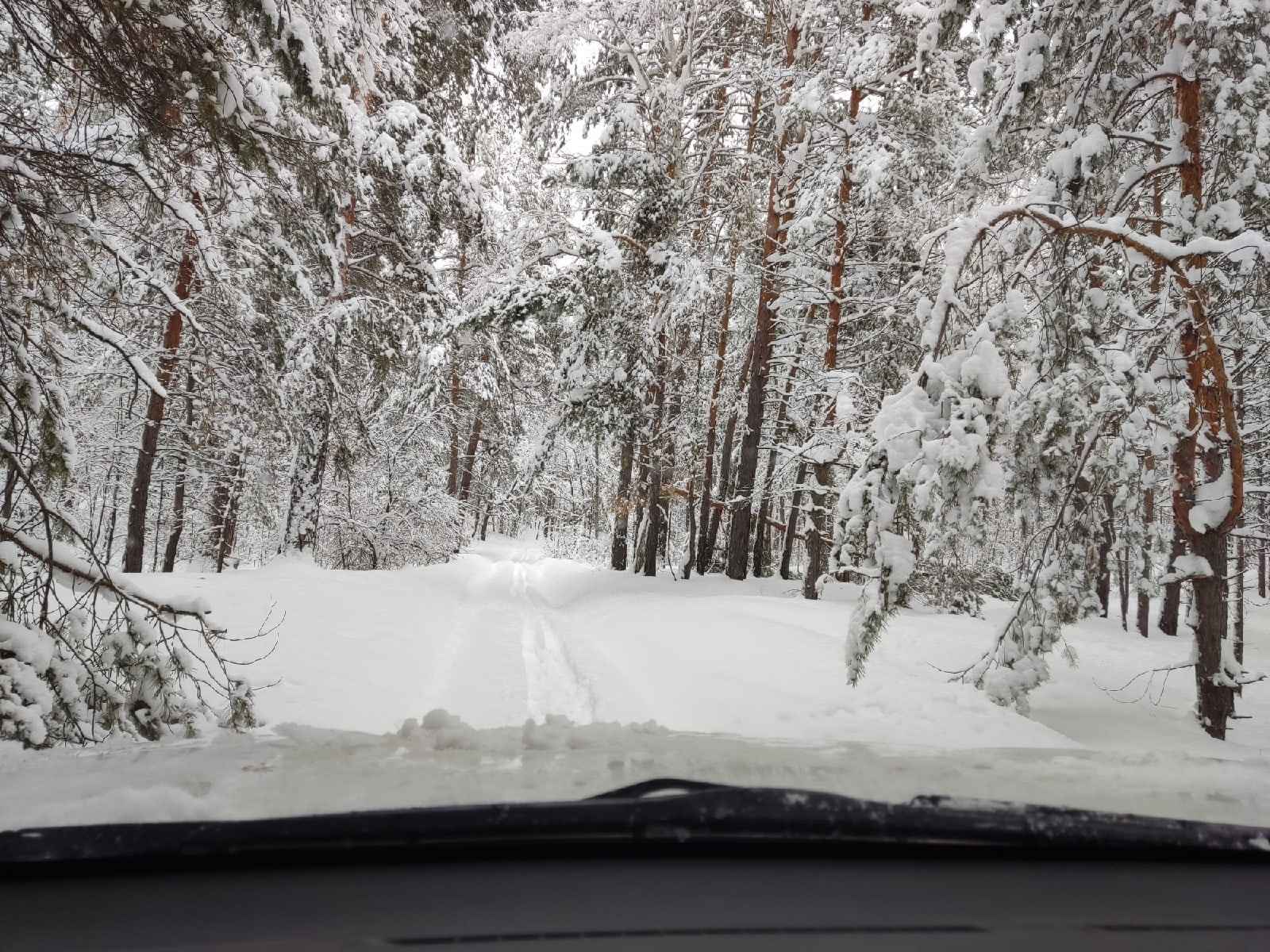 Зимний лес. Лебедка и АКБ. — Mitsubishi Pajero Sport (3G), 2,4 л, 2019 года  | расходники | DRIVE2