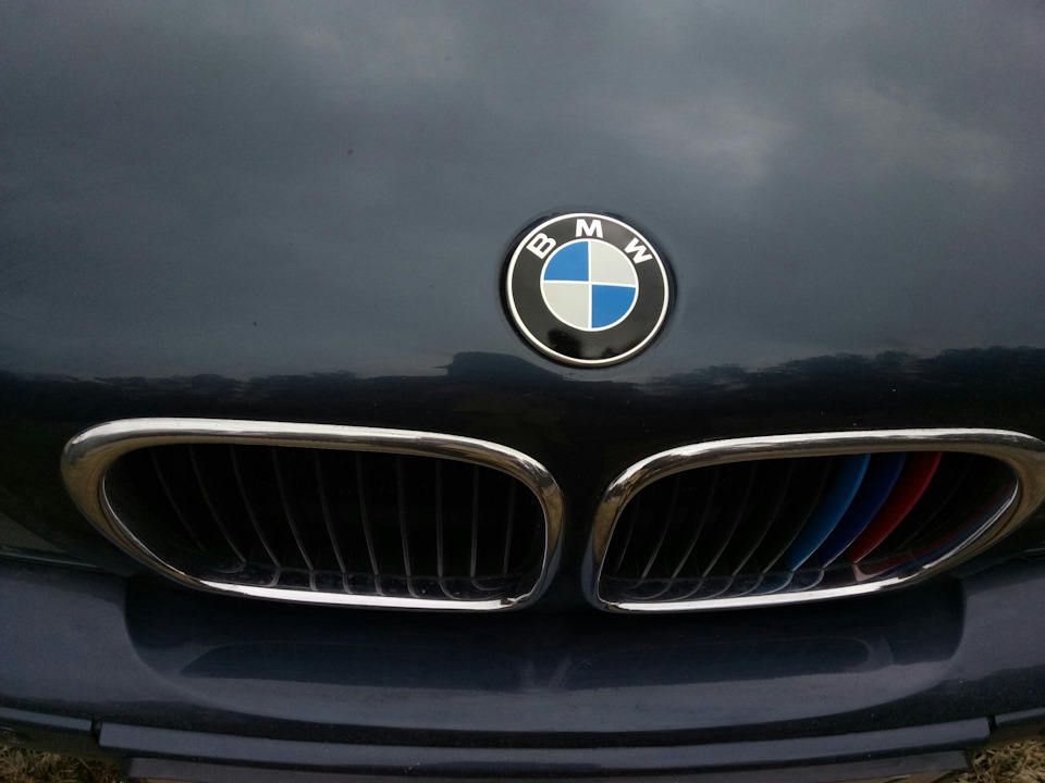 Значки БМВ — BMW 5 series (E39), 2,5 л, 2001 года | тюнинг | DRIVE2