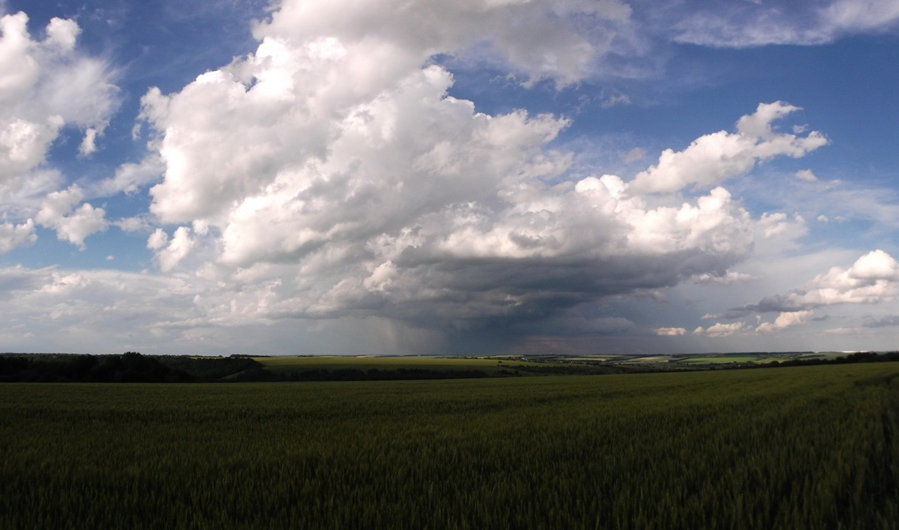 курске поле. поверхность курской области. курске поле. поле черноземье воронежская. поля курской области.