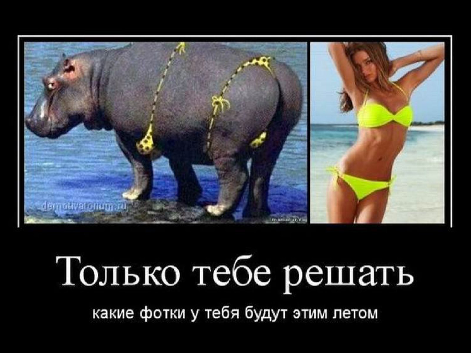 маки демотиваторы про диеты и убрать живот взять снимок