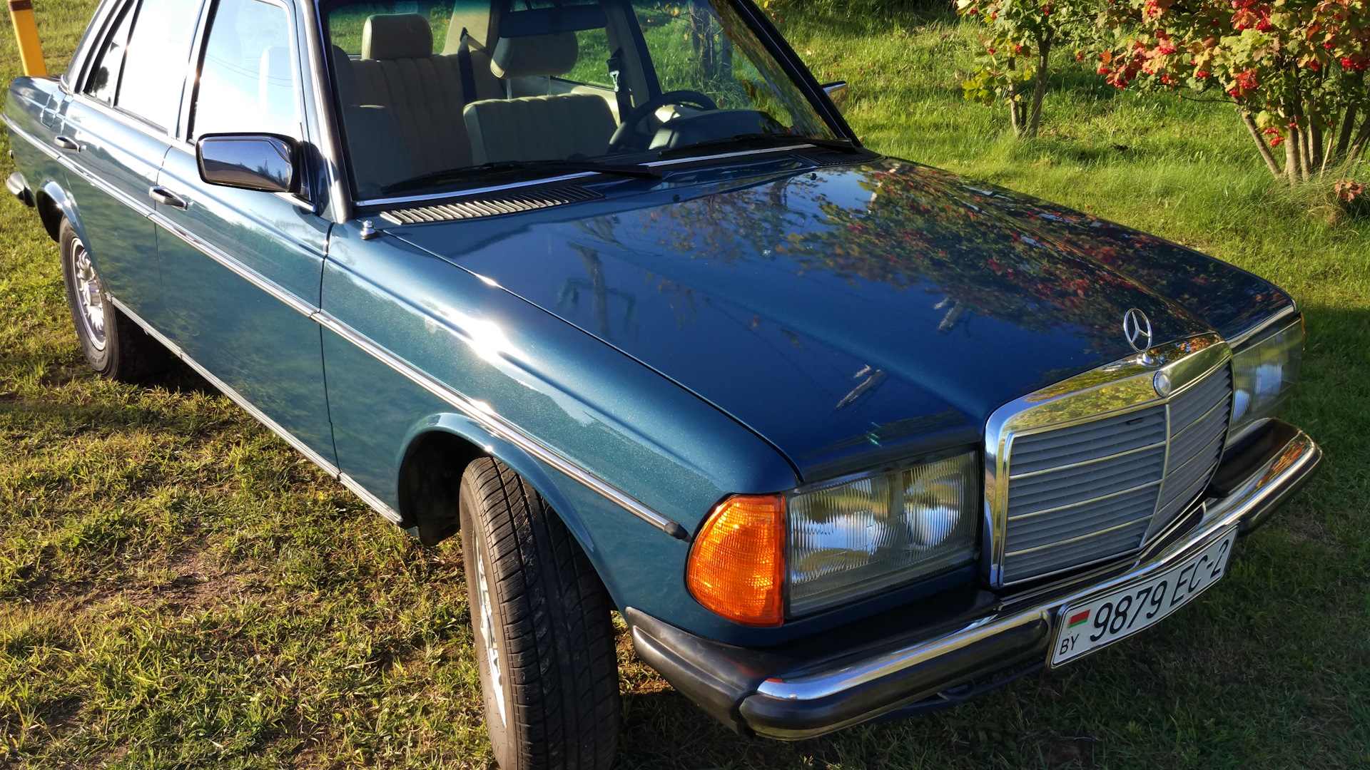 W123 дизель