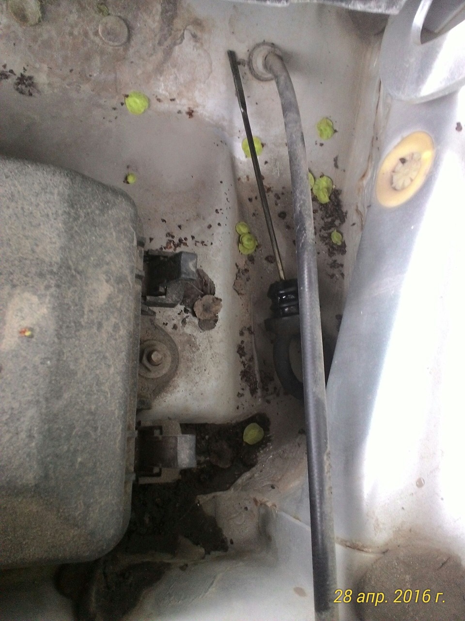 Начал с того что заехал на эстакаду, вытащил щуп с коробки и сняли защиту картера!