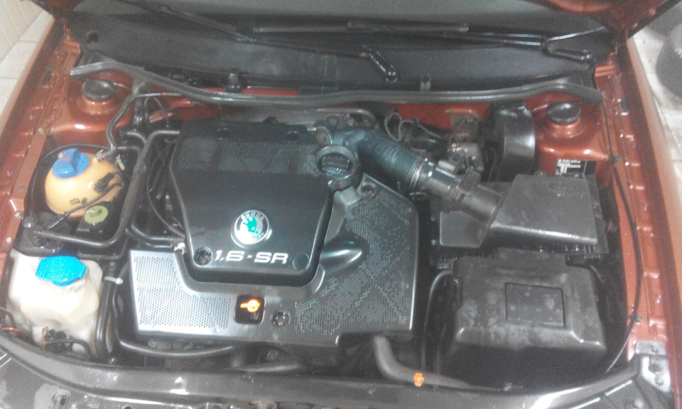 Замена масла и фильтров — Skoda Octavia A4 Mk1, 1,6 л, 2001 года ...