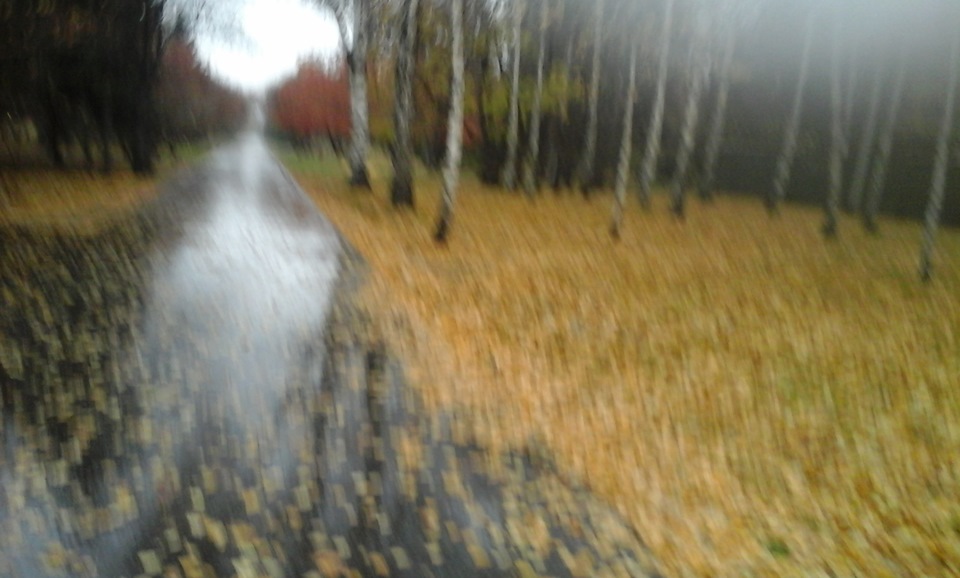 Осень-осень…Лес остыл и листья сбросил… — DRIVE2