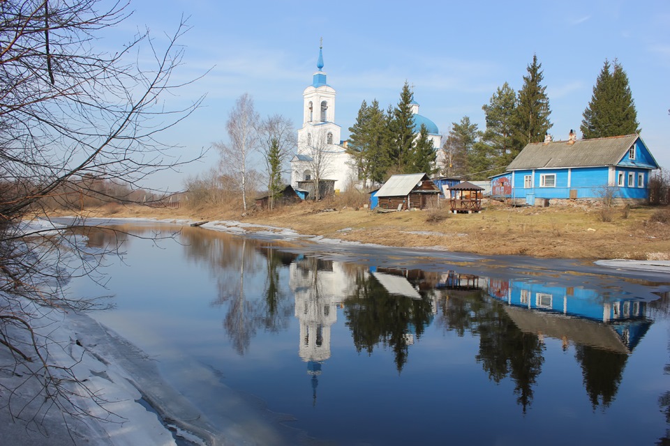 Фото ведома. Святая простота фото.