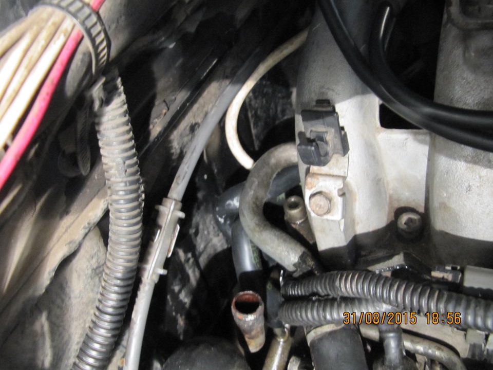 обогрев дросселя верхний контур — Nissan Terrano I, 3 л, 1994 года ...