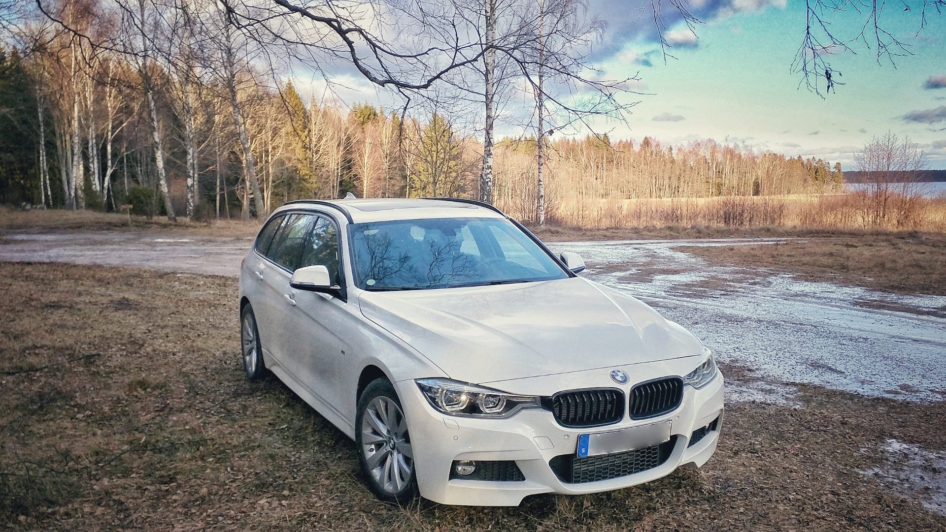 Иногда они возвращаются, или как я забирал авто — BMW 3 series Touring  (F31), 2 л, 2016 года | визит на сервис | DRIVE2