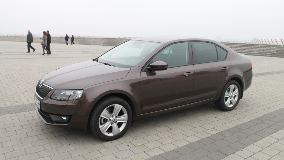 Стук задней подвески. Лед тронулся… — Skoda Octavia A7 Mk3, 1,4 л, 2014 ...
