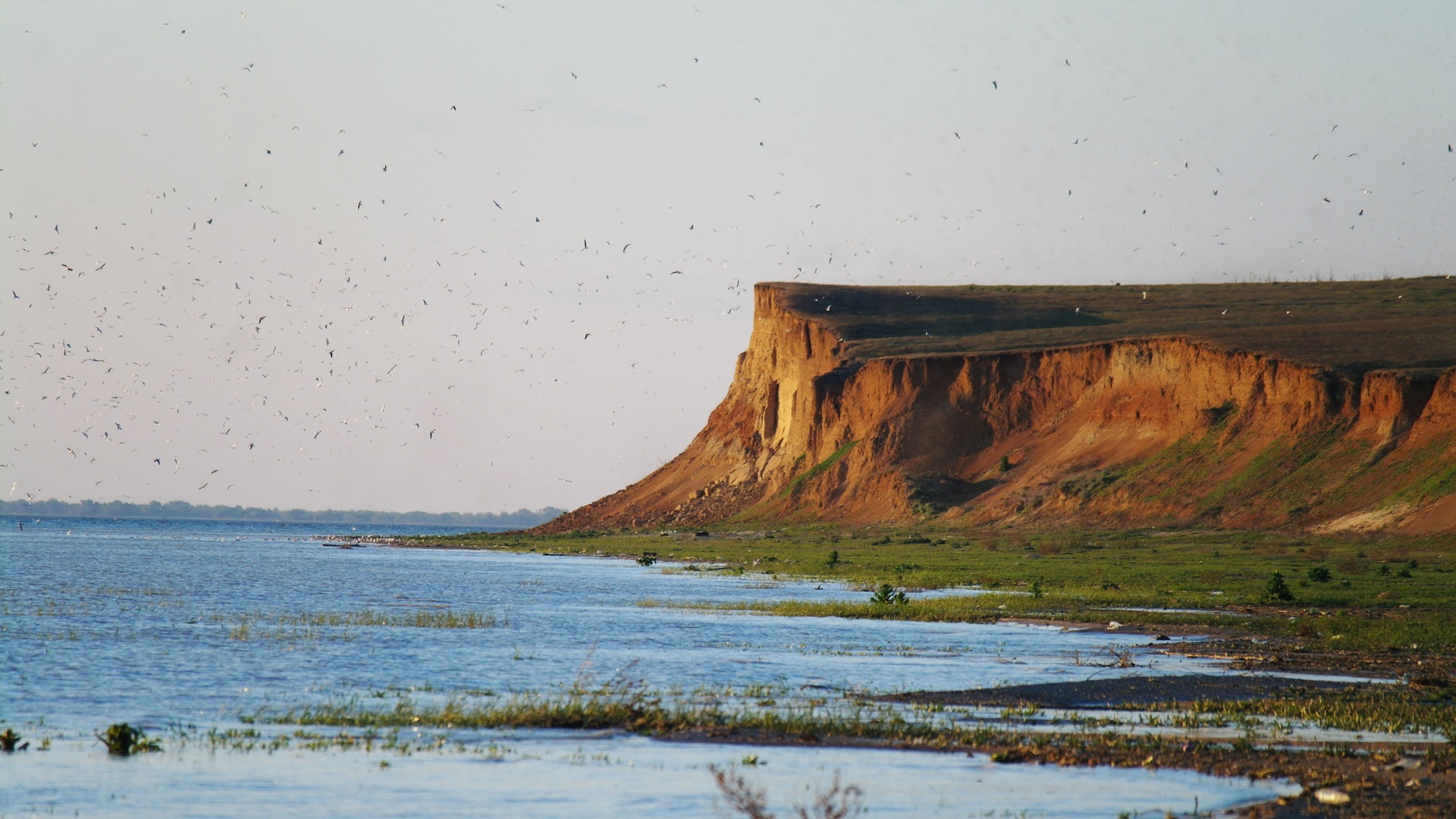 Цимлянское водохранилище волгоградская. Цимлянское водохранилище. Волгодонск Цимлянское водохранилище. Пляж Саркел Цимлянск. Цимлянское водохранилище Волгоградская область.