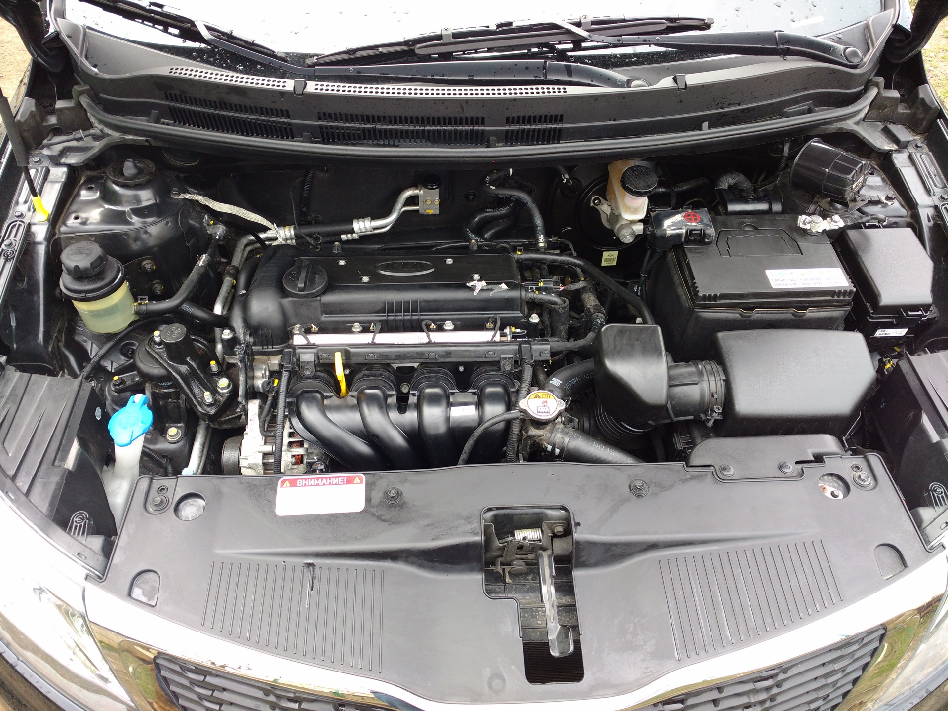 Приводим в порядок подкапотное пространство. - KIA Rio (3G), 1,6 л, 2012 года мо