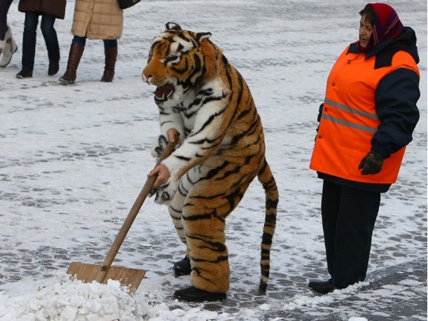 Во всех районах Иркутска ведется уборка снега Foto 17