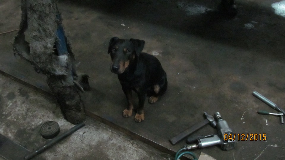 Шайтан — УАЗ Patriot