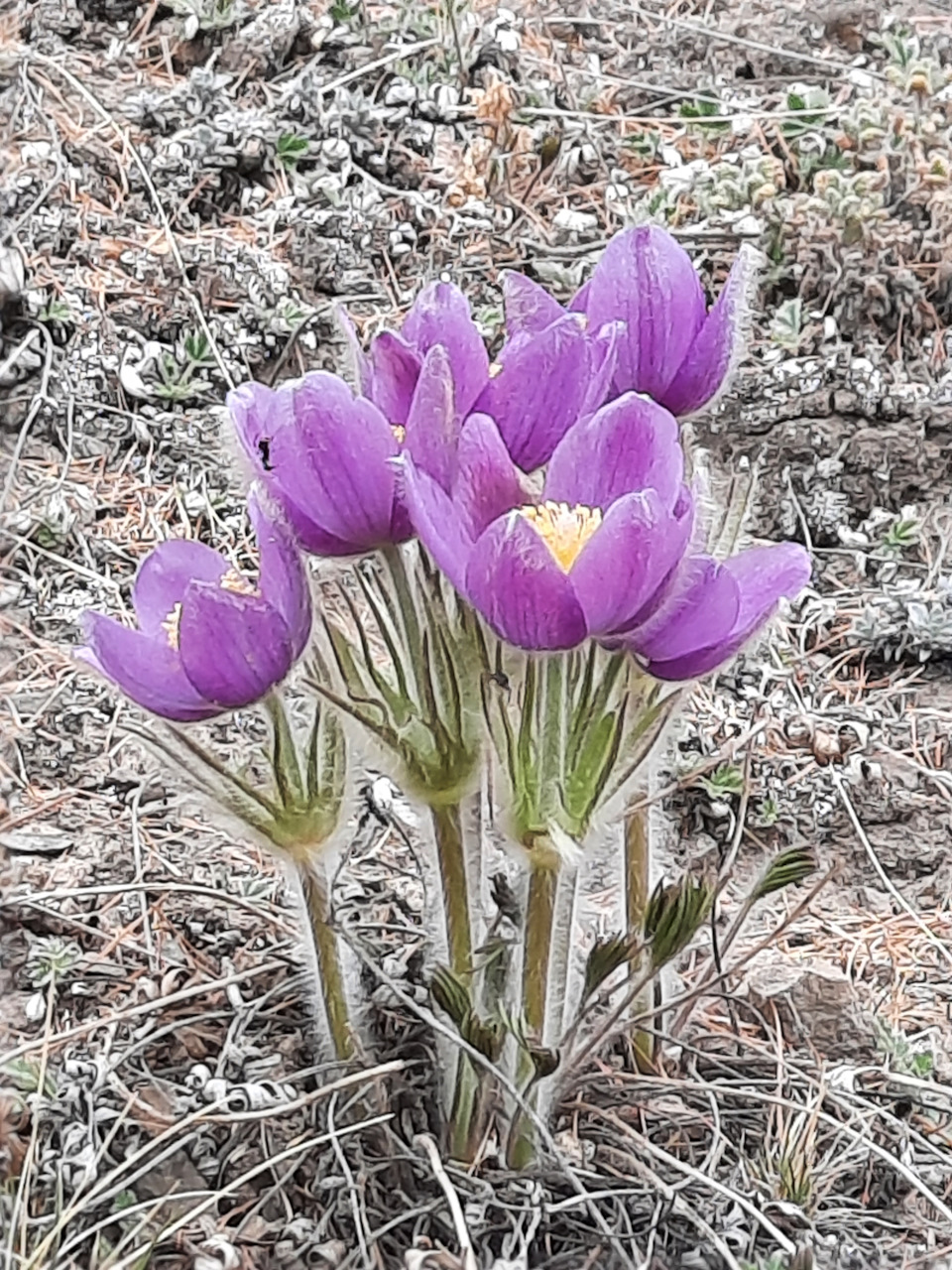 Фото в бортжурнале Nissan Safari (Y60)