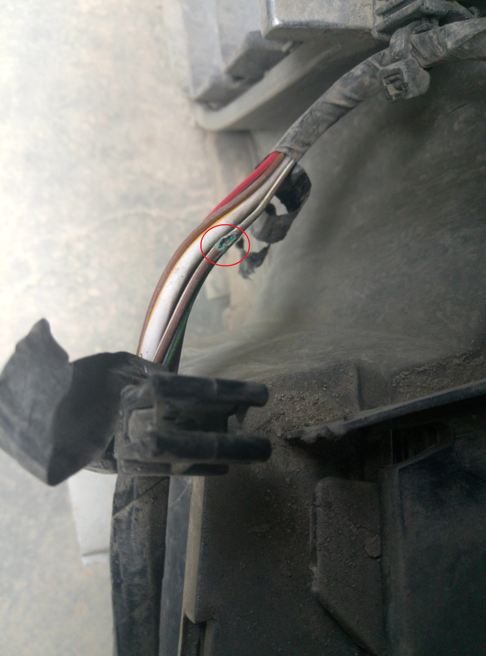 Фото в бортжурнале Volkswagen Passat B6