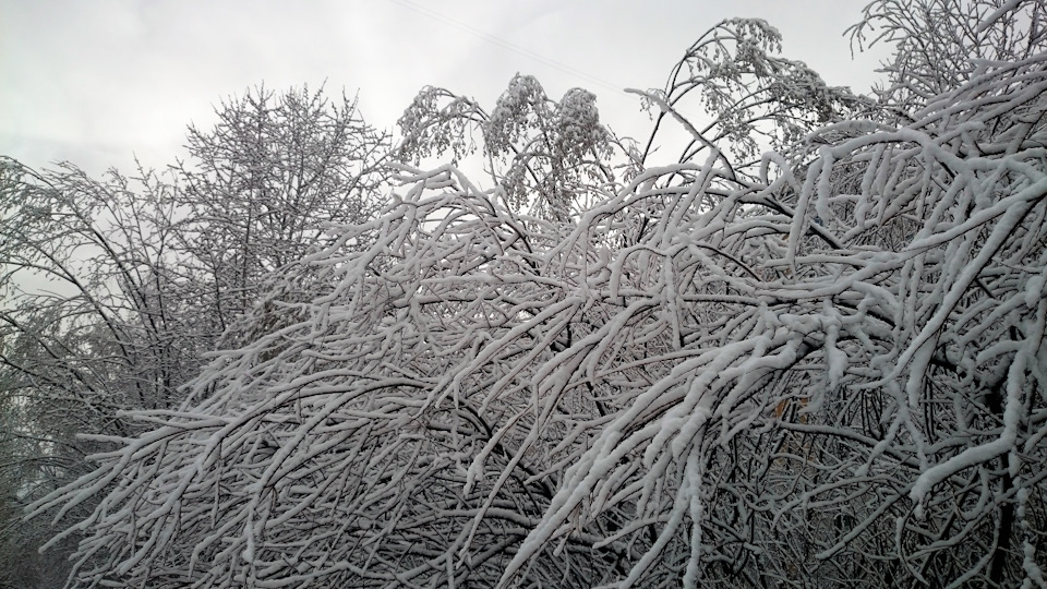 Руки вверх в окно снегопад