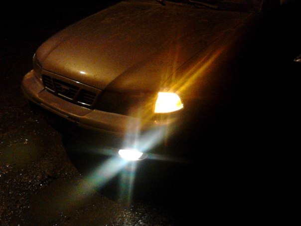 рыжики — Daewoo Nexia (2G), 1,5 л, 2007 года | фотография | DRIVE2