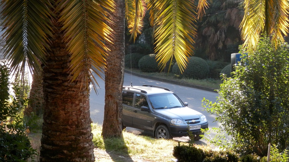 Chevrolet Niva Бродяга