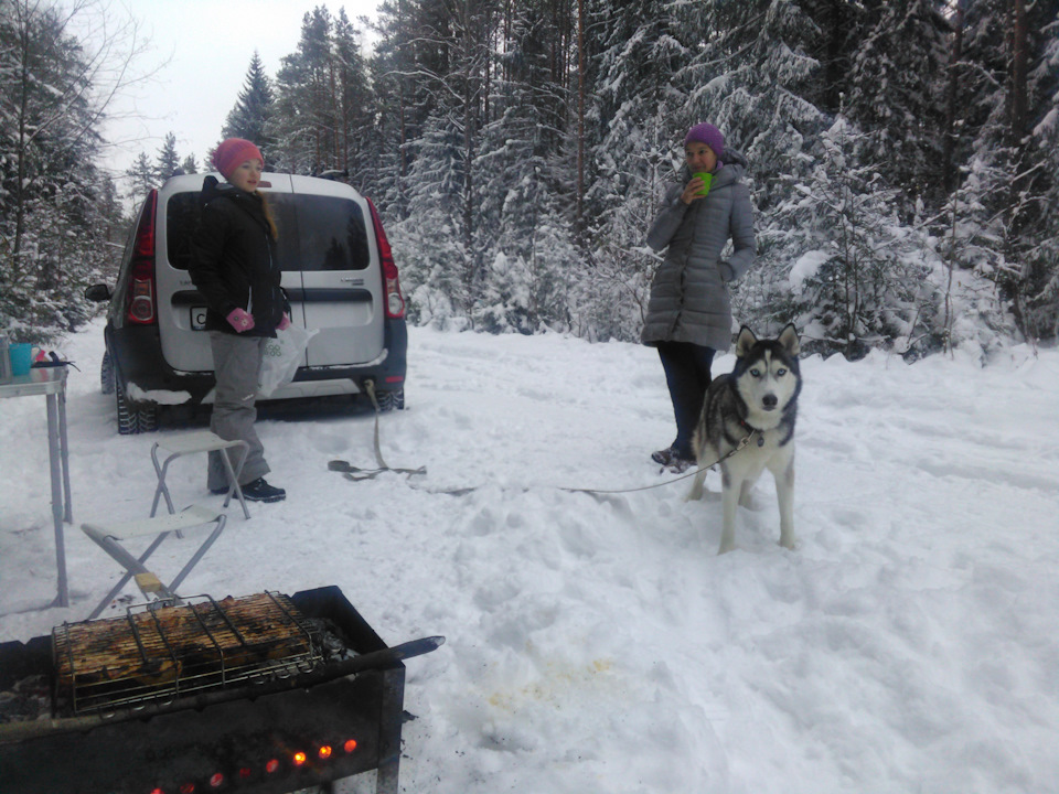 Photo from the logbook Lada Largus Cross