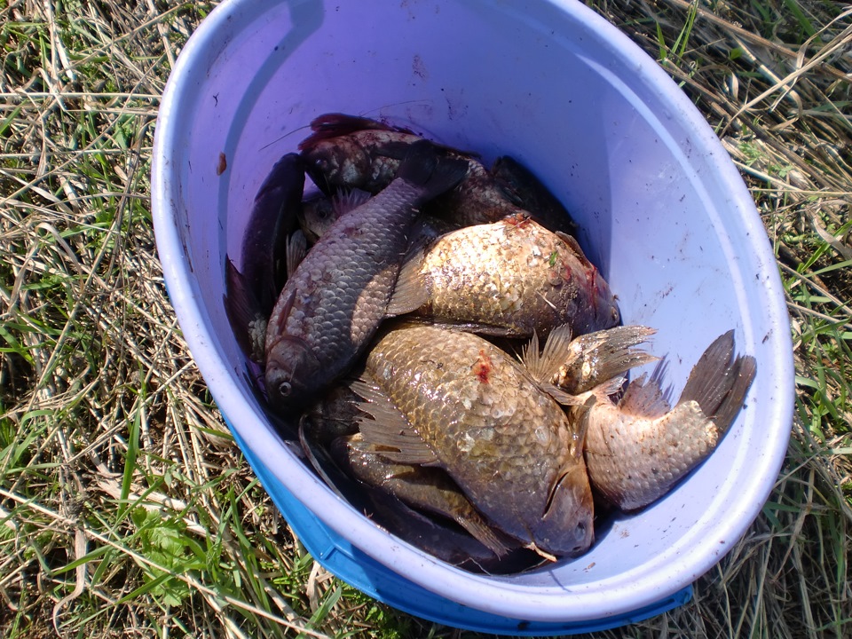 #2 Первый выход в свет — УАЗ 31514, 2,4 л, 1999 года | покатушки | DRIVE2