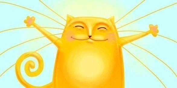 Лучик кот