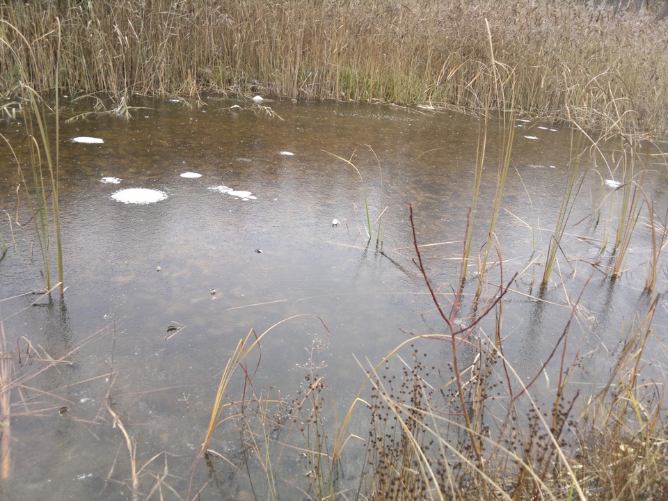 Подключаем магнитолу и зимняя мойка — Ford Focus II Sedan, 1,6 л, 2006 ...