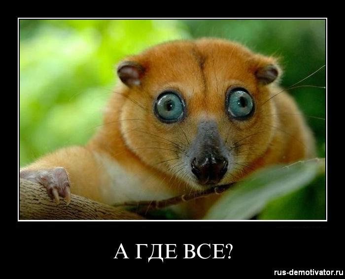 Прикольные картинки где все