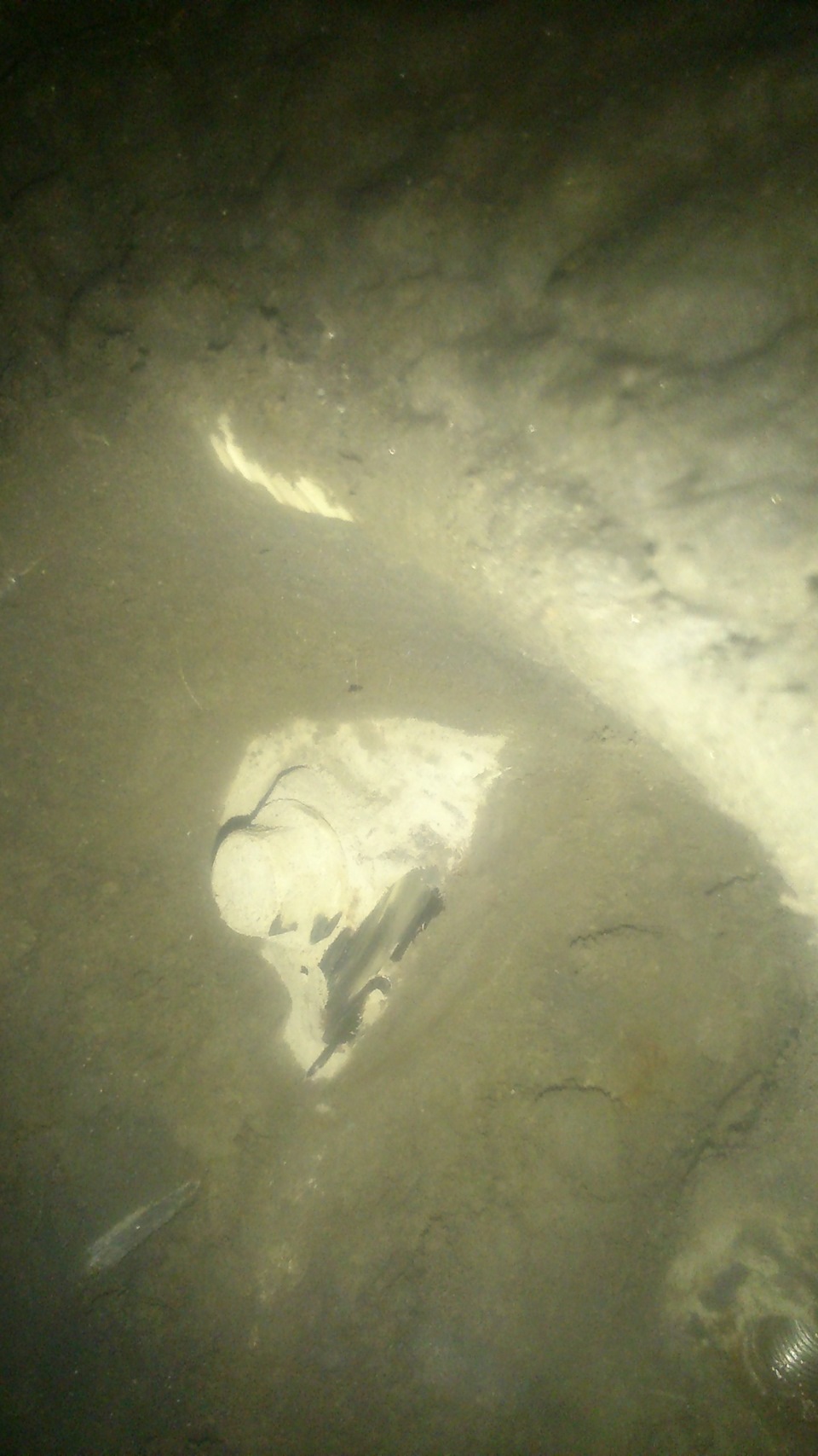 дошли руки наконец то залезть в ходовую и поменять шрус — Honda Orthia ...