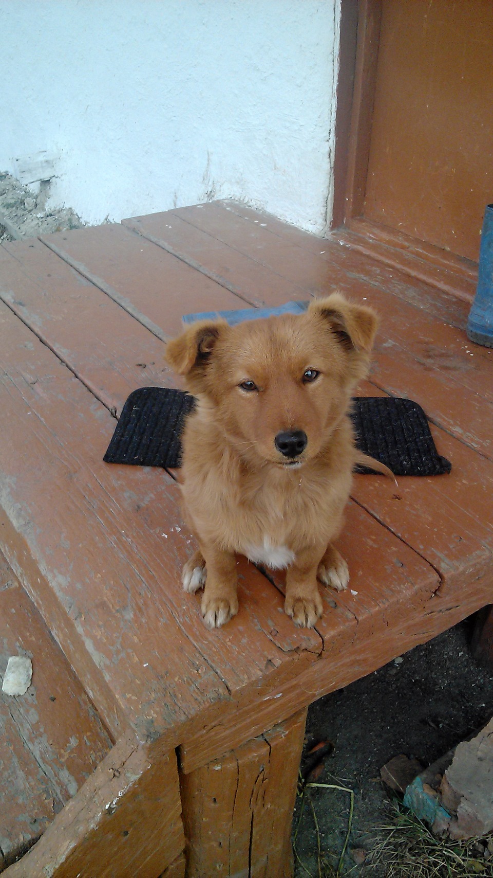 Фото в бортжурнале Audi 80 (B3)