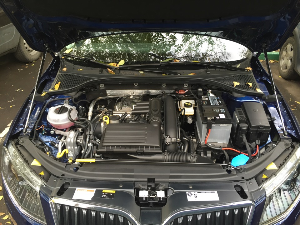 Амортизаторы капота — Skoda Octavia A7 Mk3, 1,4 л, 2015 года ...