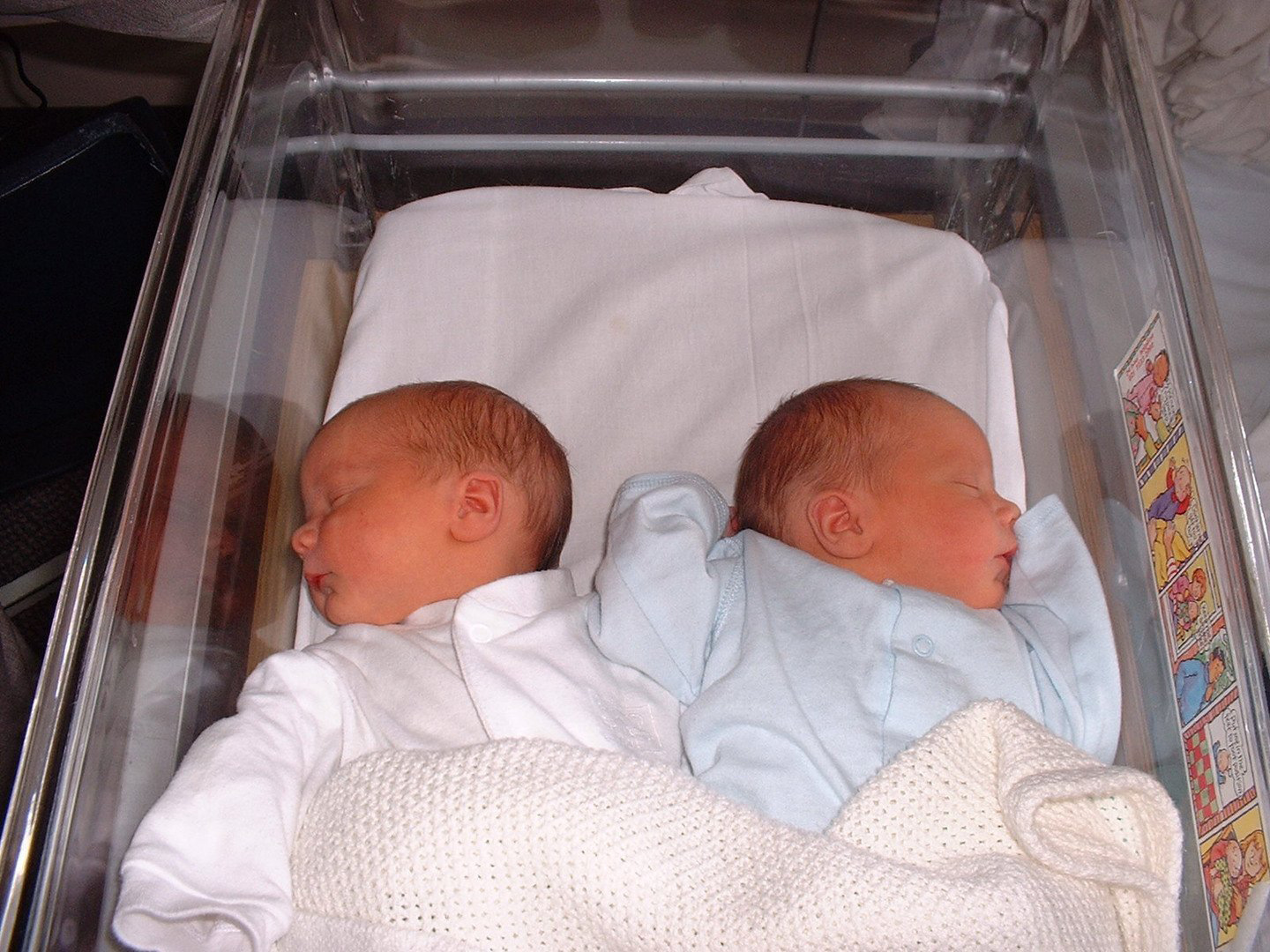 Новорождённые двойняшки в роддоме