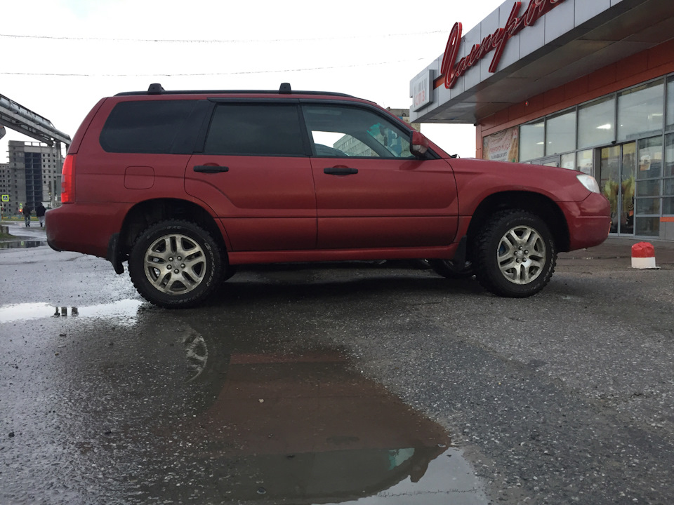 Фото в бортжурнале Subaru Forester (SG)
